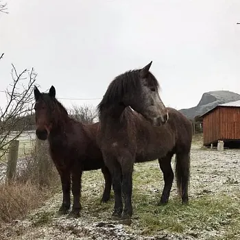 Zrušený Nordic Walking výšlap Litoměřice - Radobýl