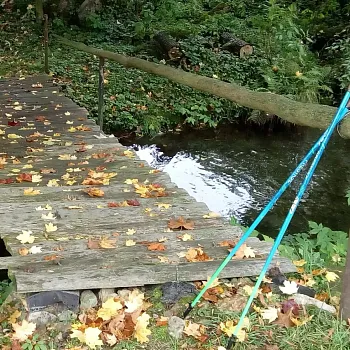 Tři dny Nordic Walking na severu - Javorník, Rejvíz, Zlaté Hory