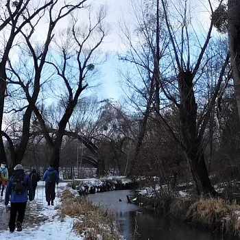 Ostravsko - Zrušený Nordic Walking výšlap kolem dvou jezer
