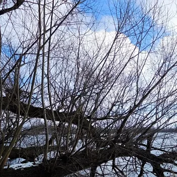 Ostravsko - Zrušený Nordic Walking výšlap kolem dvou jezer