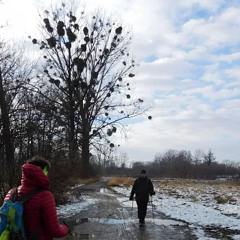 Ostravsko - Zrušený Nordic Walking výšlap kolem dvou jezer