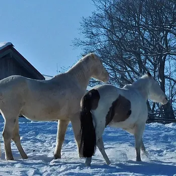 Zimní Nordic Walking výšlap na Lovoš