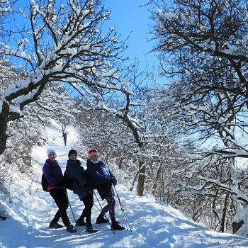 Zimní Nordic Walking výšlap na Lovoš