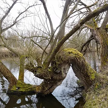 Nordic walking v mělnickém podzámčí