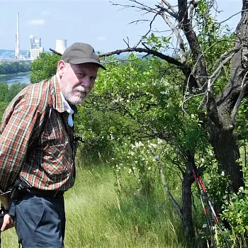 A Fred nepřijde? Nepřijde. Fred už nikdy nepřijde.