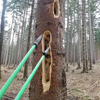 Zlaté Hory - v lockdownu obejdi svůj katastr