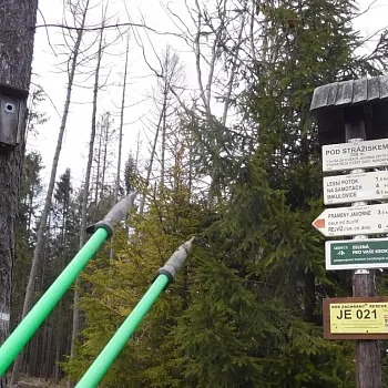 Zlaté Hory - v lockdownu obejdi svůj katastr