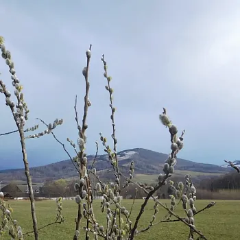 Zlaté Hory - v lockdownu obejdi svůj katastr
