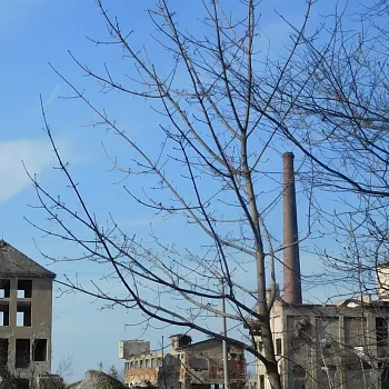 Okres Jeseník v lockdownu - Vidnava