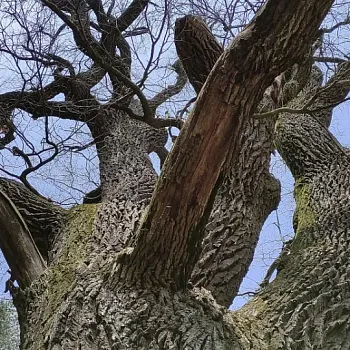 První máj - Nordic Walking na Žulovsku