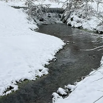 Raduň u Opavy - zimní pohádka v čase olympiády